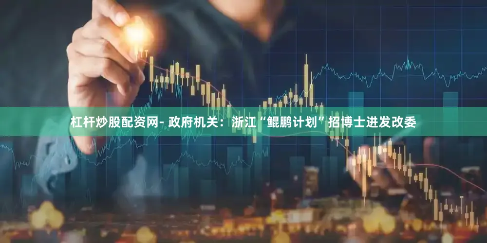杠杆炒股配资网- 政府机关：浙江“鲲鹏计划”招博士进发改委